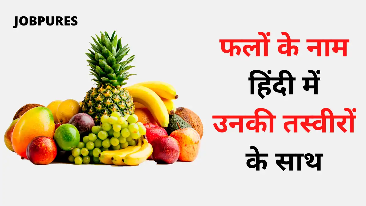 All Fruits Name in Hindi : सभी फलों के नाम हिंदी में उनकी तस्वीरें सहित