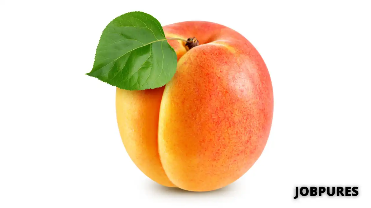 Apricot Name in Hindi