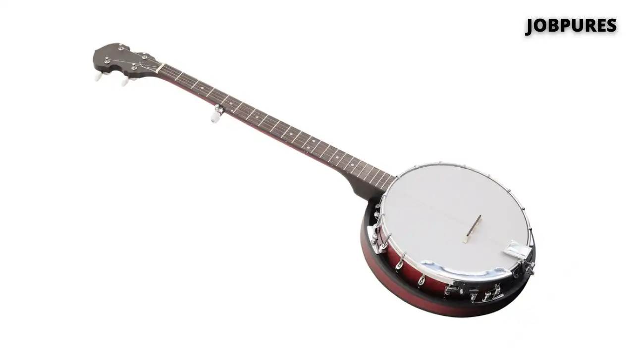 Banjo Musical Instrument Name in Hindi