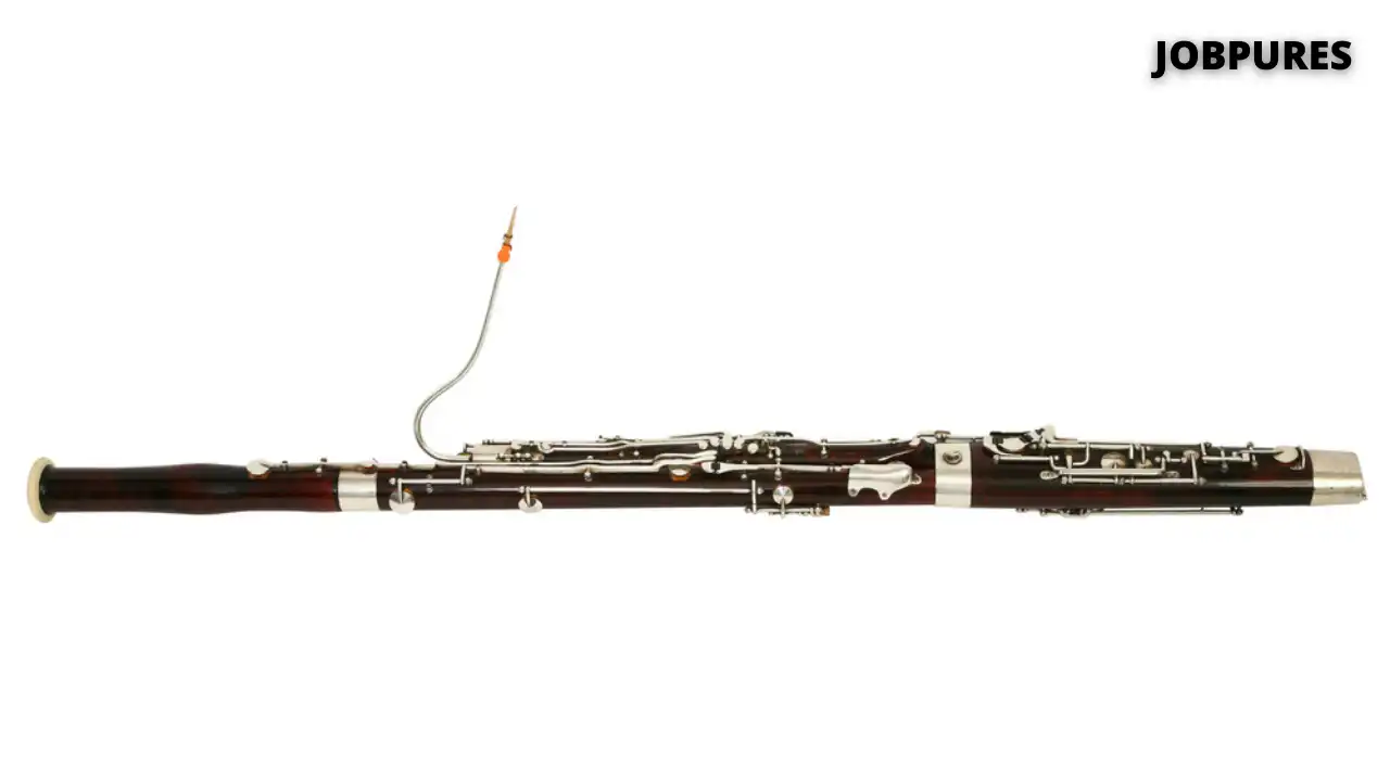 Bassoon Musical Instrument Name in Hindi