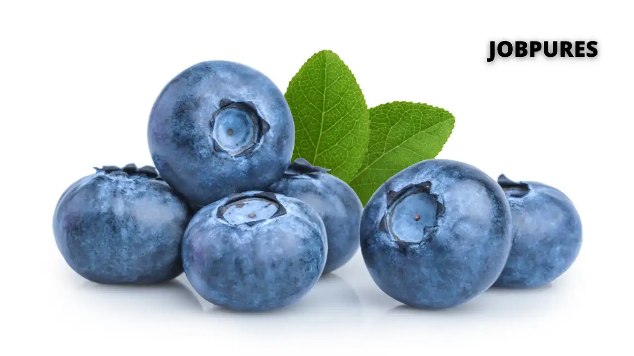 Blueberry Name in Hindi