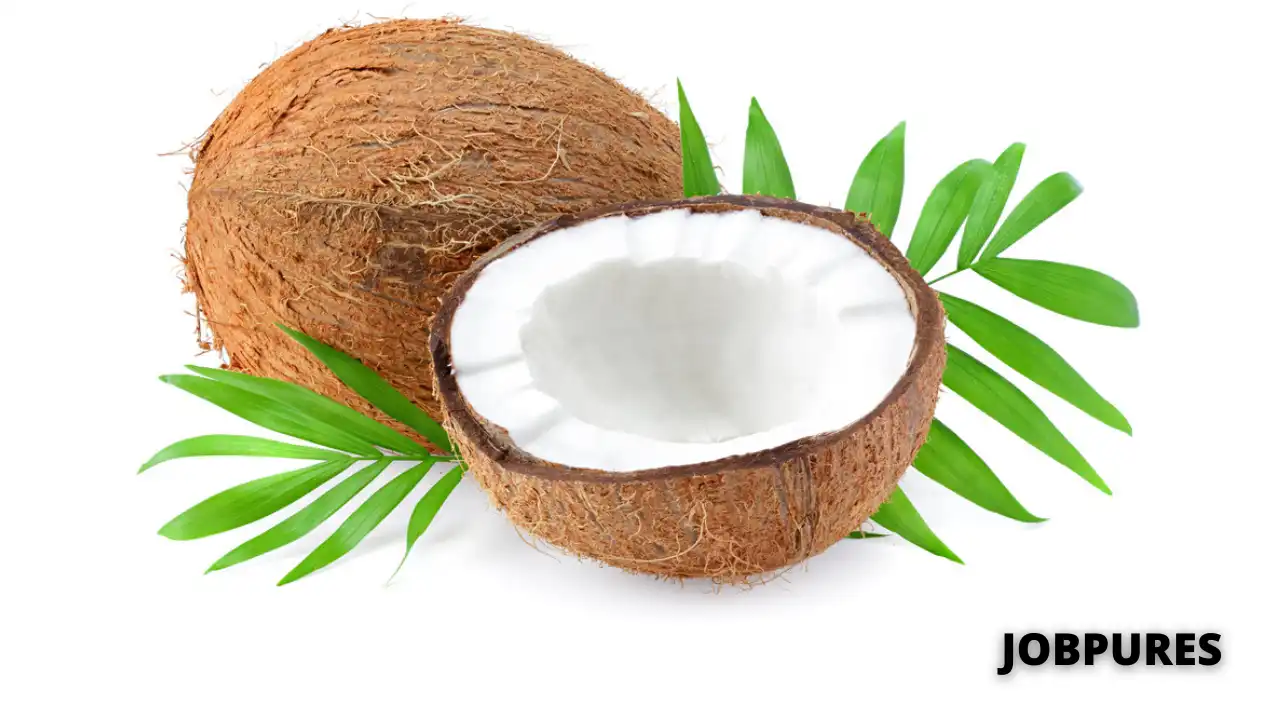 Coconut Name in Hindi