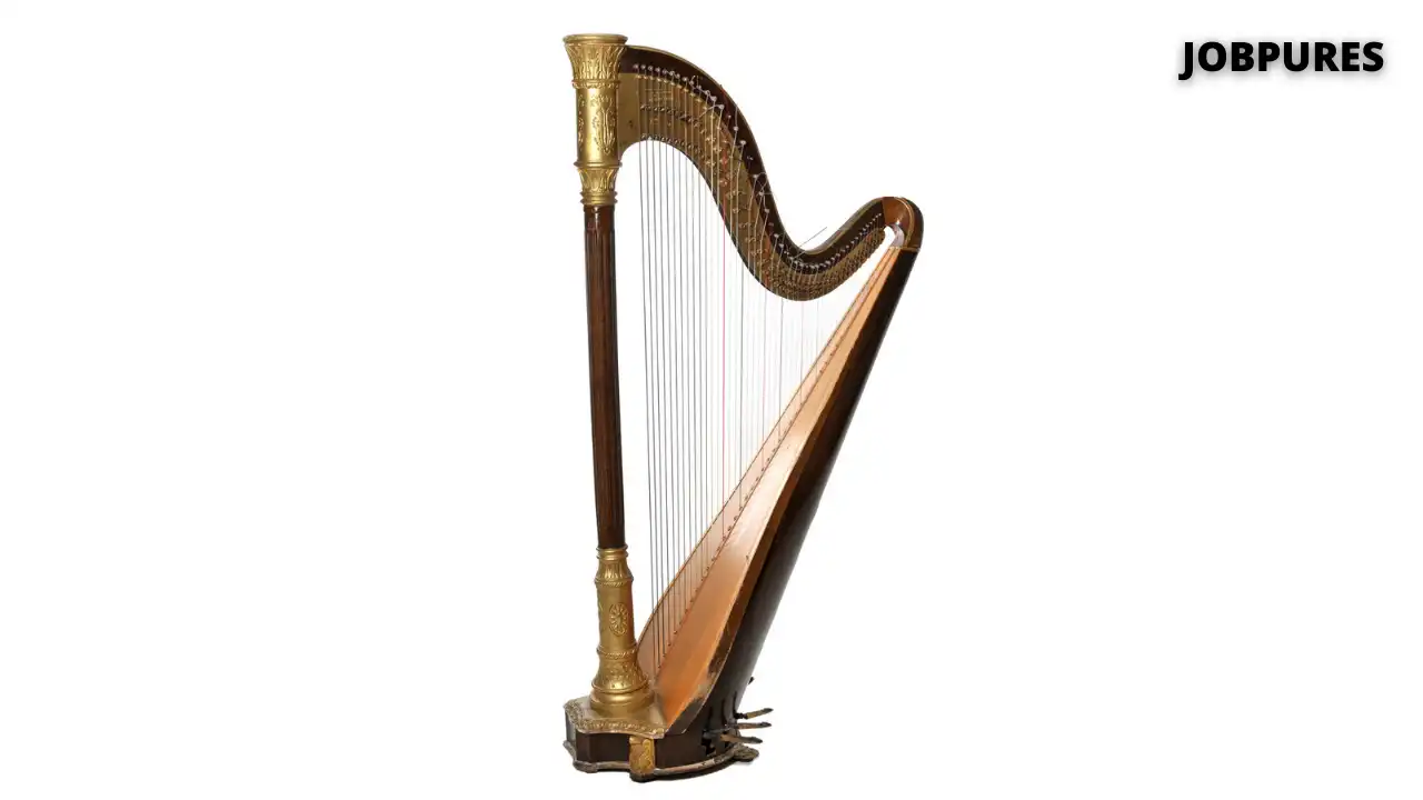 Harp Musical Instrument Name in Hindi