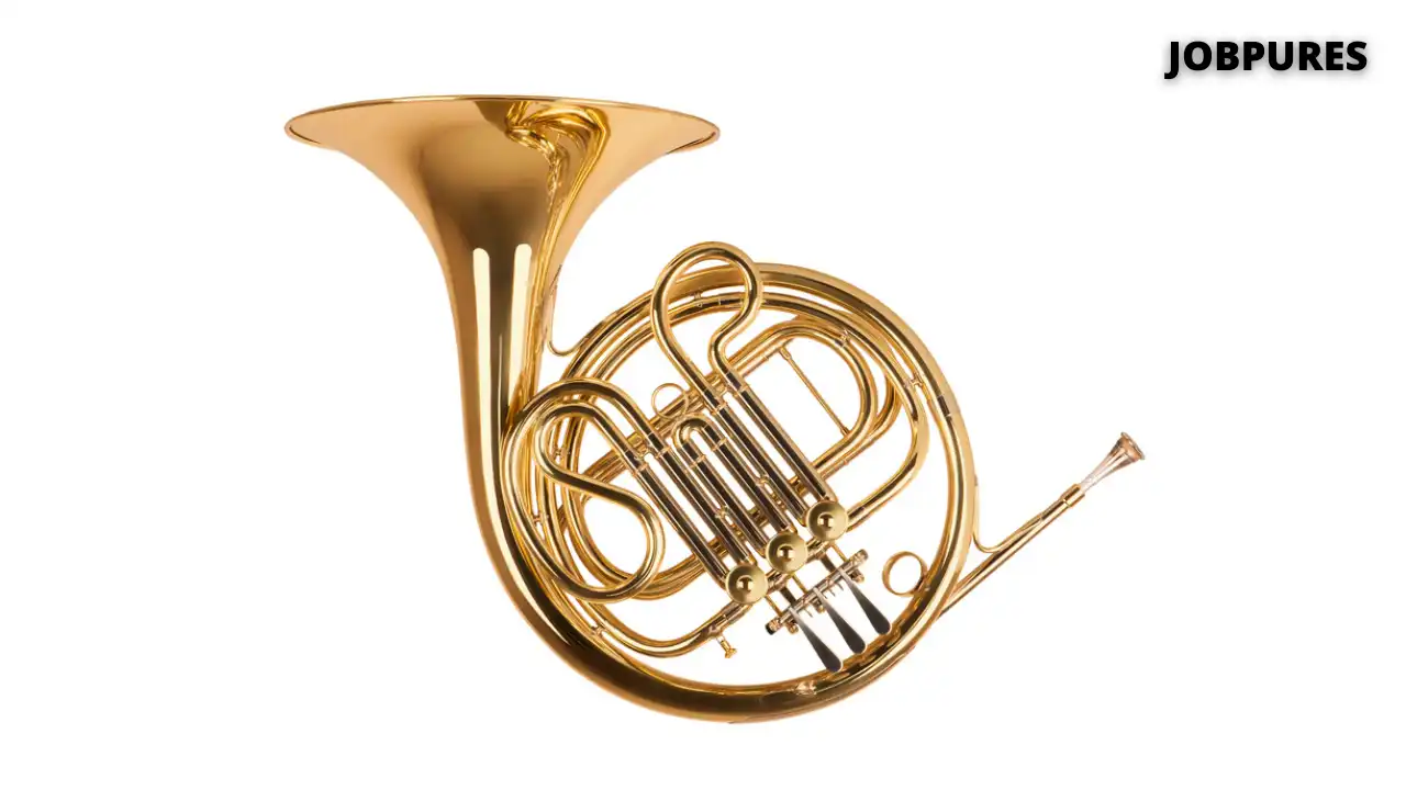 Horn Musical Instrument Name in Hindi