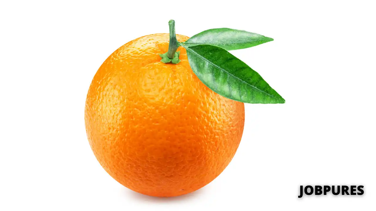 Orange Name in Hindi