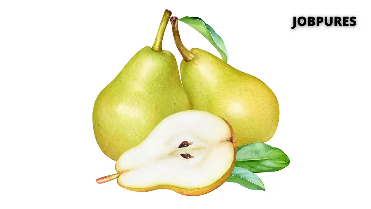 Pear Name in Hindi