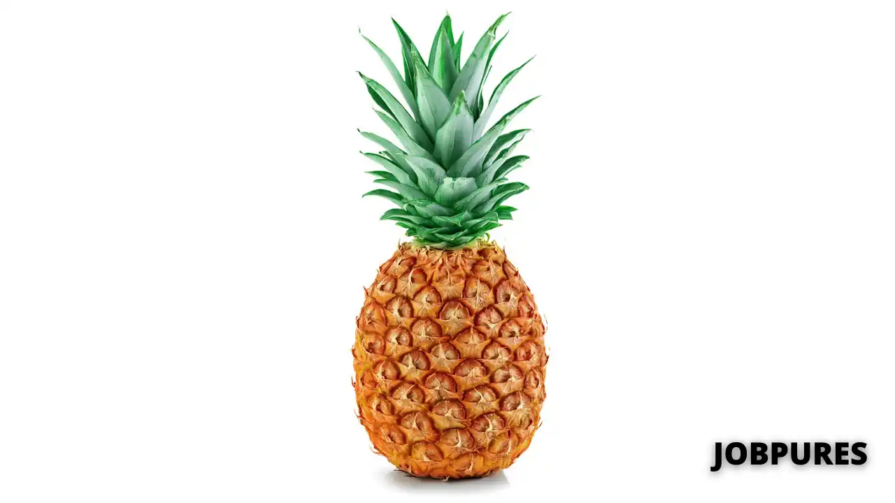 Pineapple Name in Hindi