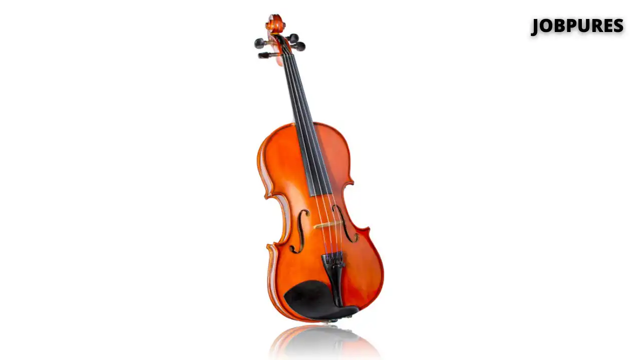 Violin Musical Instrument Name in Hindi