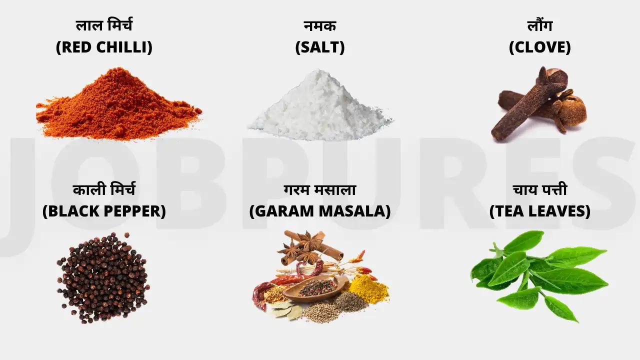 125+ Spices Name in Hindi and English : सभी प्रकार के मसालों के नाम हिंदी तथा अंग्रेजी भाषा में