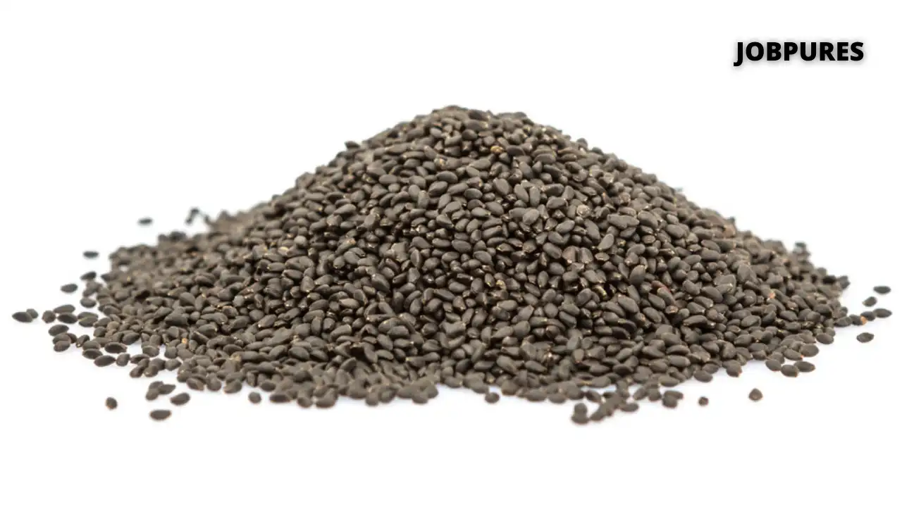 Basil Seeds Spice Name in Hindi and English
