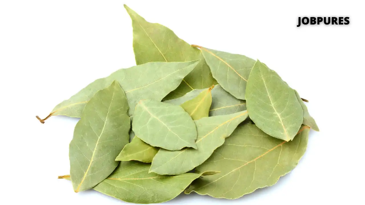 Bay Leaf Spice Name in Hindi and English