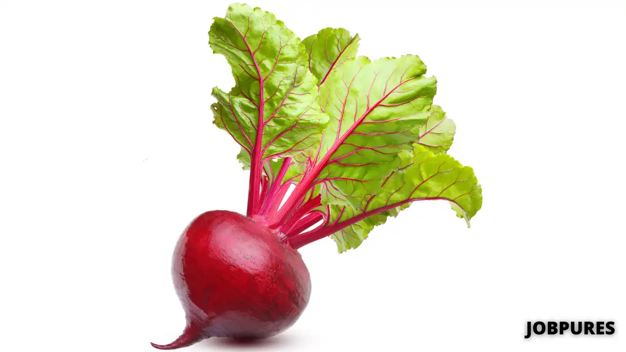 Beetroot Vegetable Name In Hindi and English