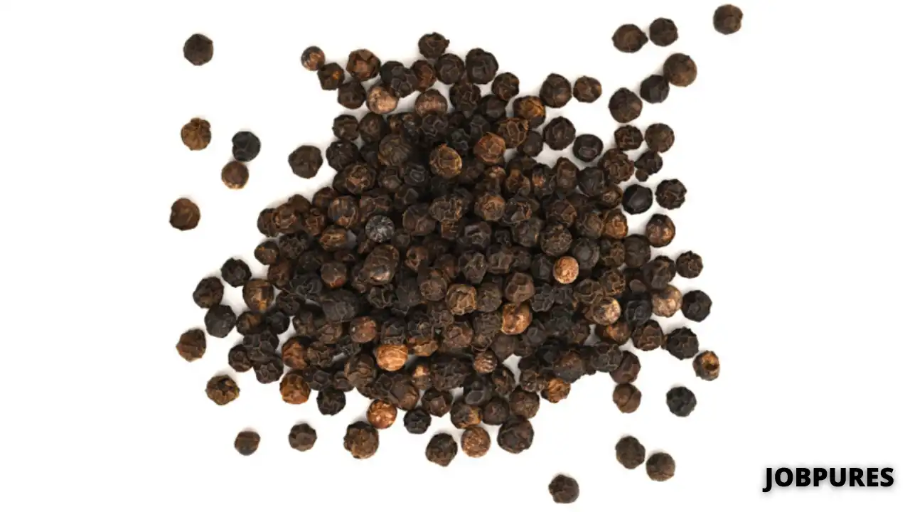 Black Pepper Vegetable Name in Hindi and English