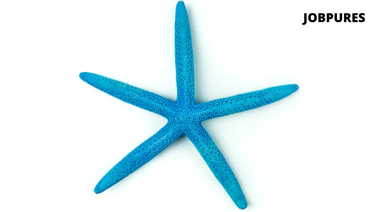 Blue Starfish Fish Name in Hindi and English