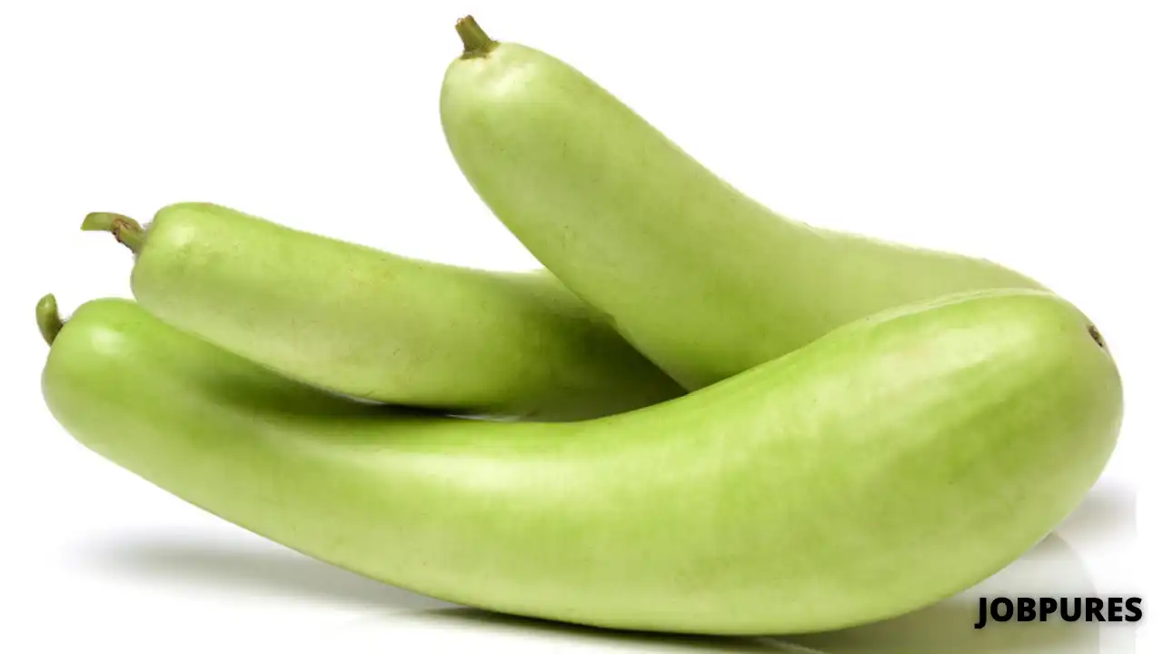 Bottle Gourd Vegetable Name in Hindi and English