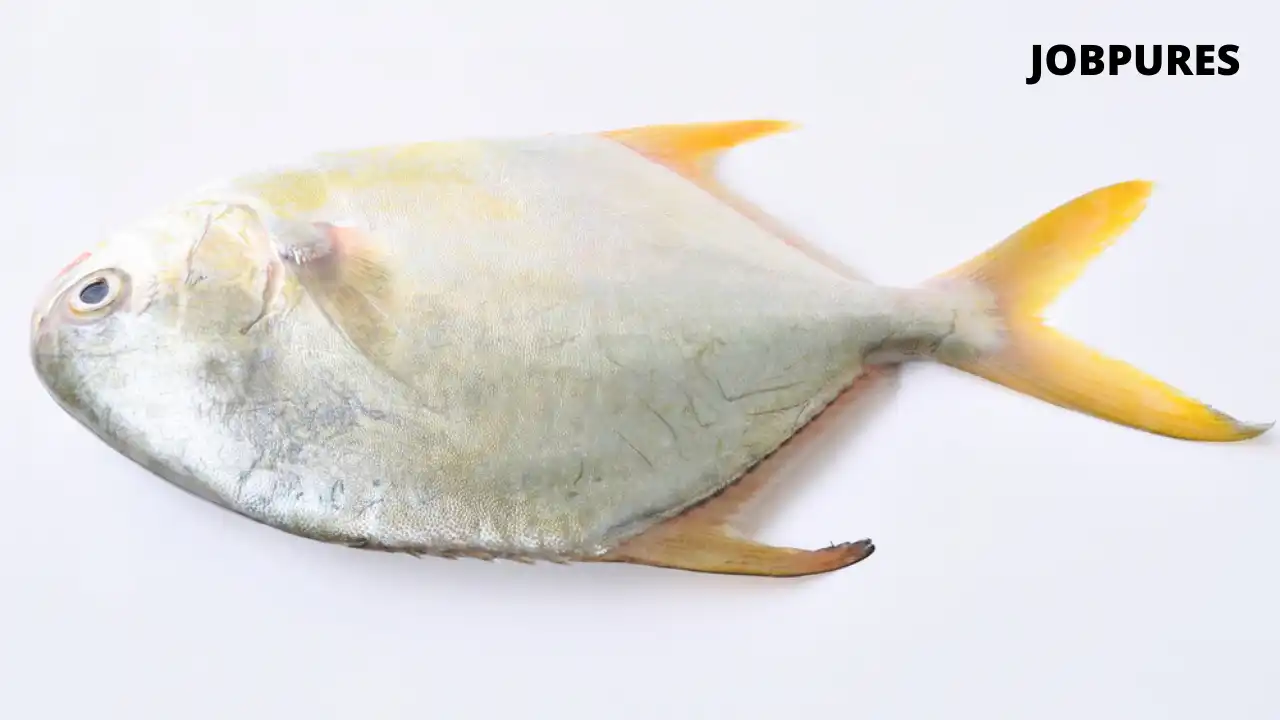 Butter Fish Name in Hindi and English