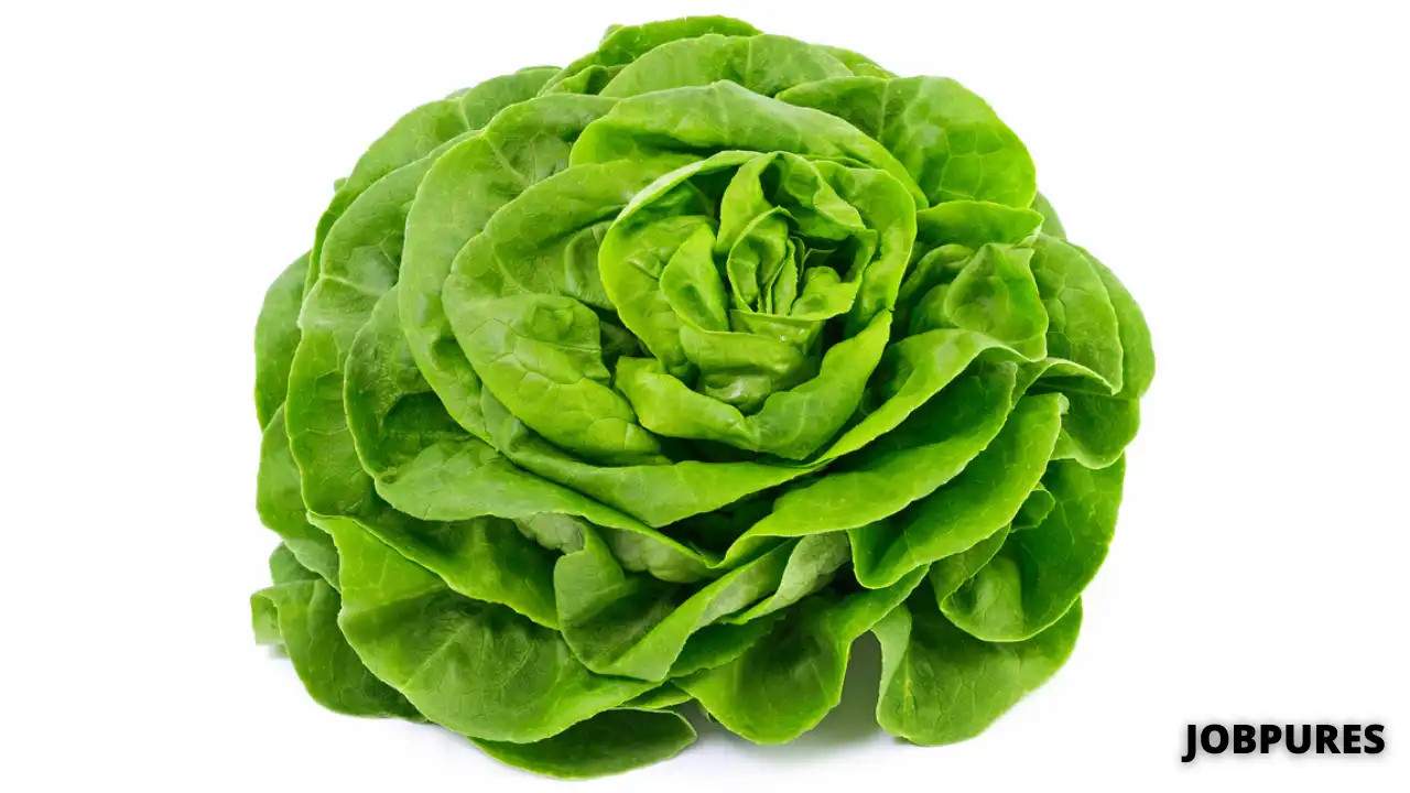 Butterhead Green Leaf Vegetable Name in Hindi and English