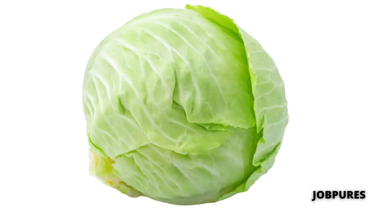 Cabbage Vegetable Name in Hindi & English