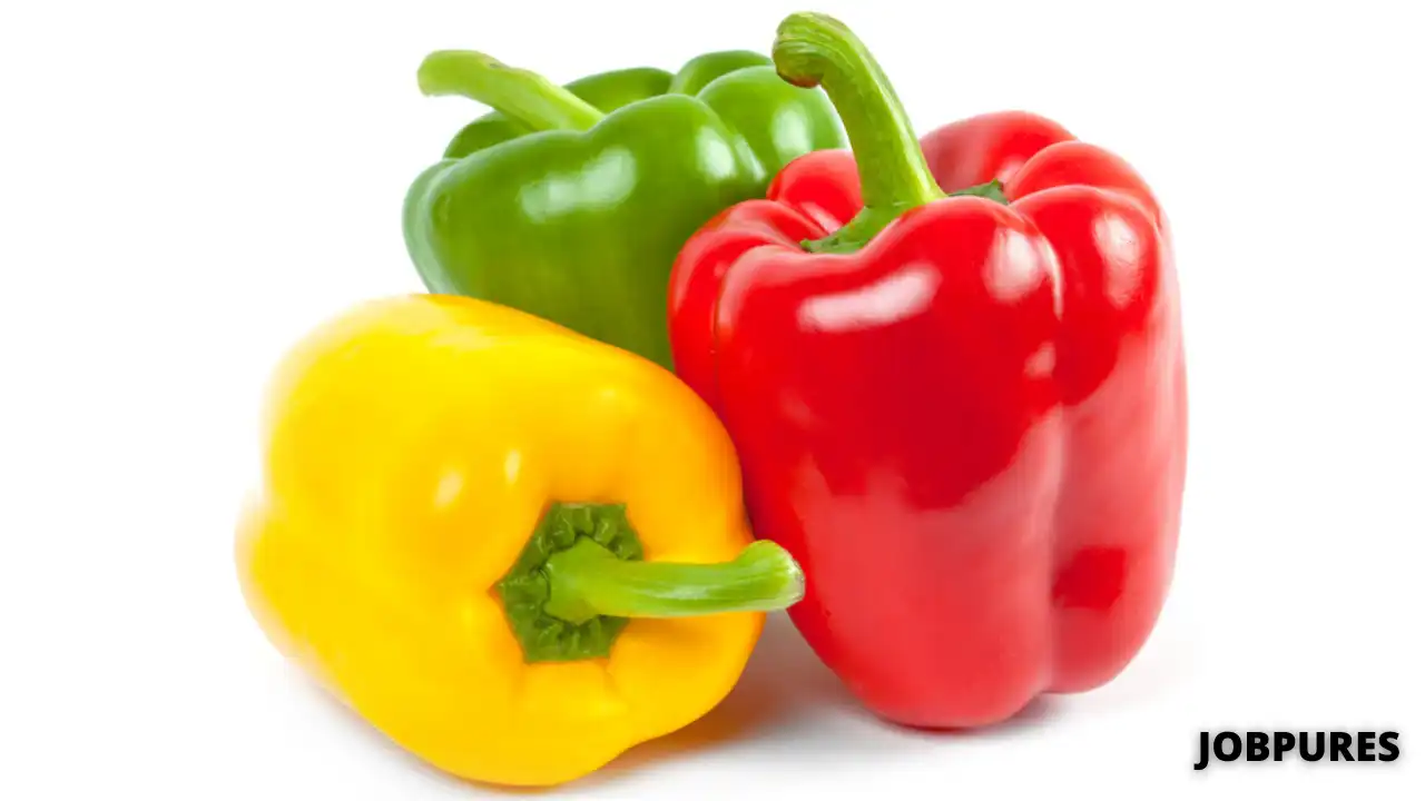 Capsicum/Paprika/Bell Pepper Vegetable Name in Hindi and English