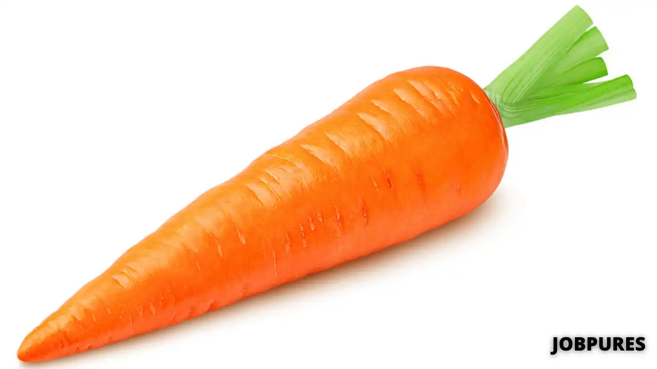 Carrot Vegetable Name in Hindi and English