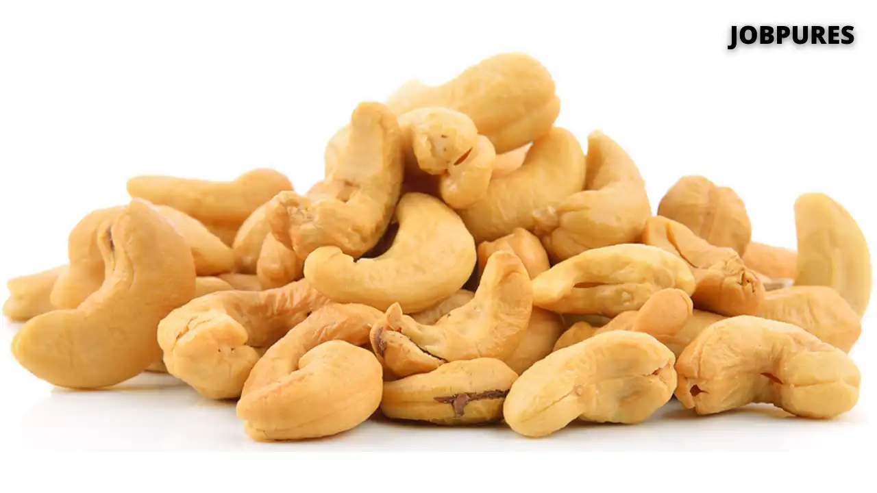 Cashew Nuts Spice Name in Hindi and English