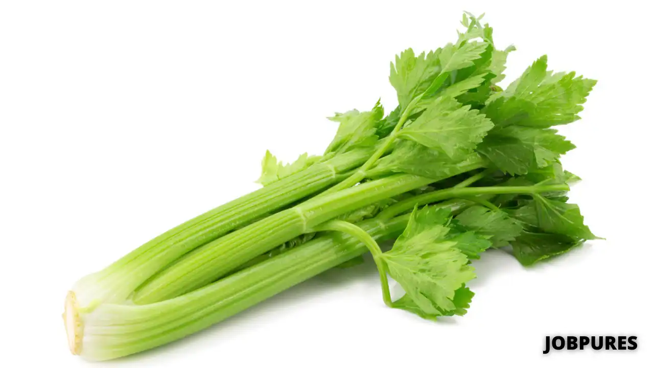Celery Vegetable Name in Hindi and English