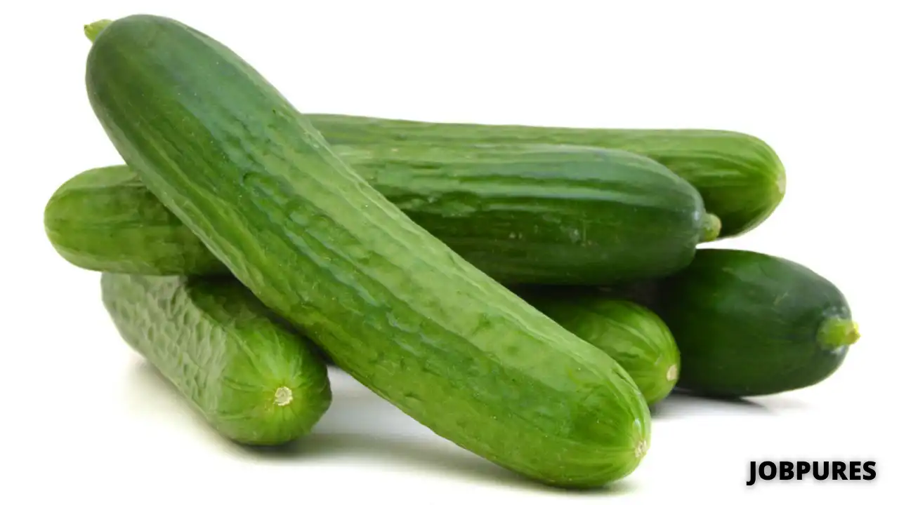 Cucumber Vegetable Name in Hindi and English