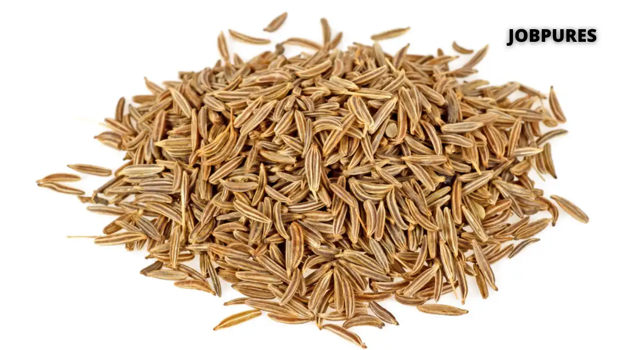 Cumin Seeds Spice Name in Hindi and English