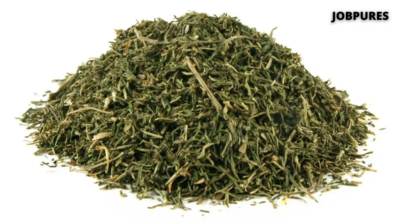 Dill Weed Spice Name in Hindi and English