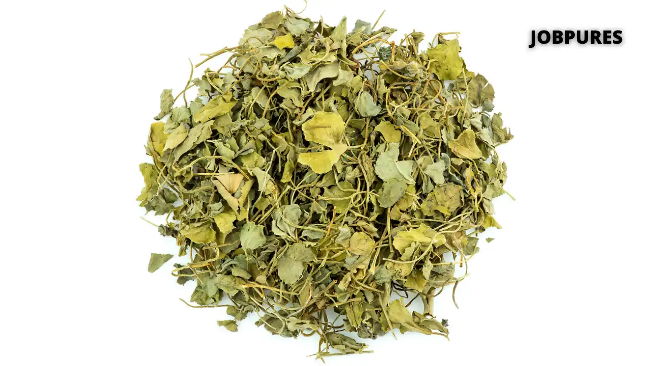 Dry Fenugreek Leaves Spice Name in Hindi and English