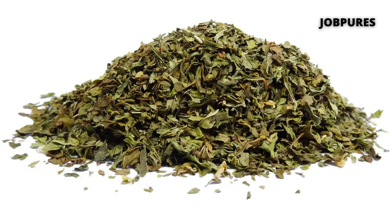 Dry Mint Spice Name in Hindi and English