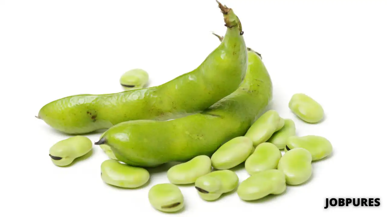 Fava Beans_/Broad Beans Vegetable Name in Hindi & English