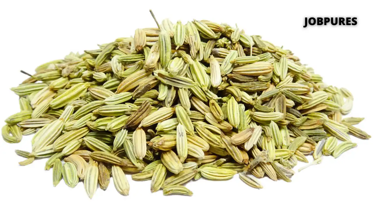 Fennel Seeds Spice Name in Hindi and English