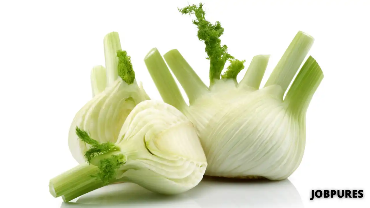 Fennel/Dill Vegetable Name in Hindi and English