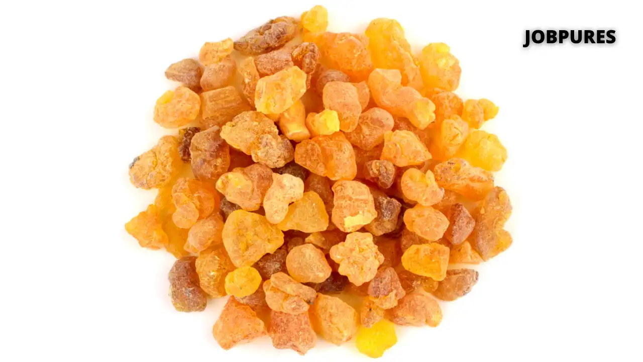 Frankincense Spice Name in Hindi and English