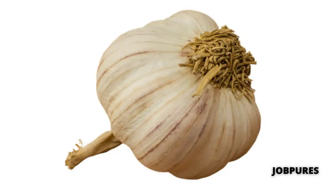 Garlic Vegetable Name in Hindi and English