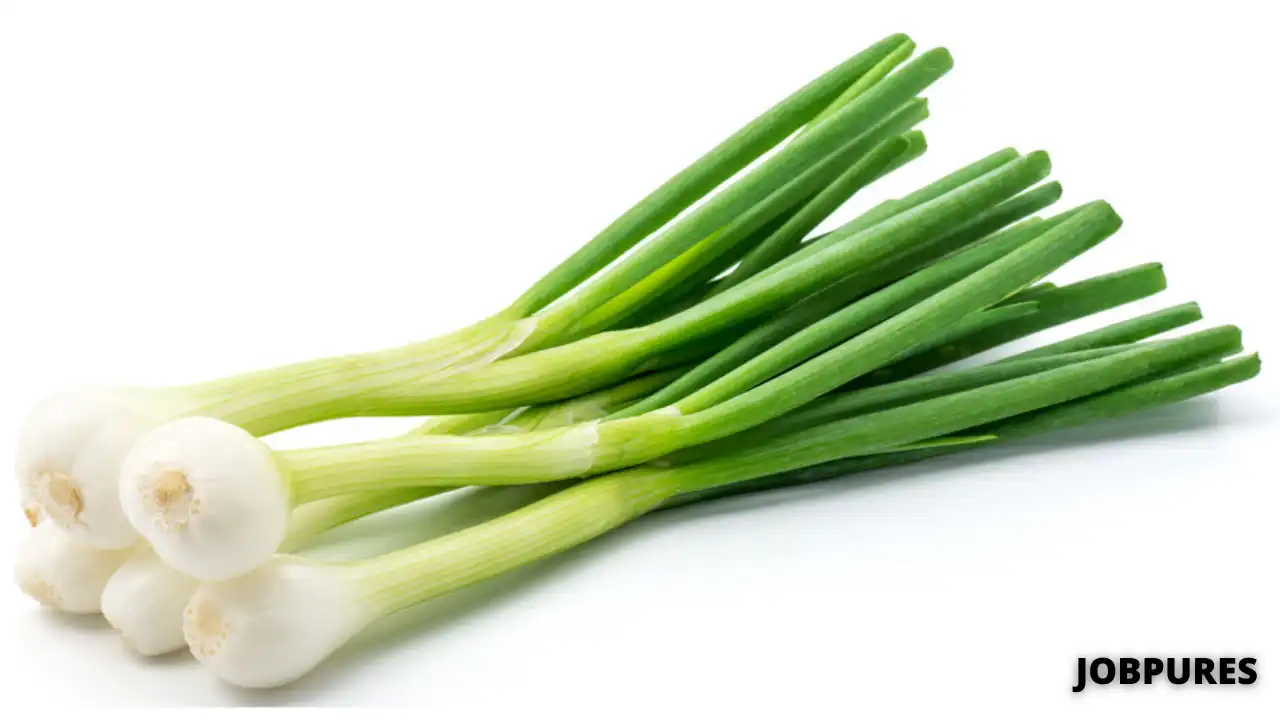 Green Onion Vegetable Name in Hindi & English