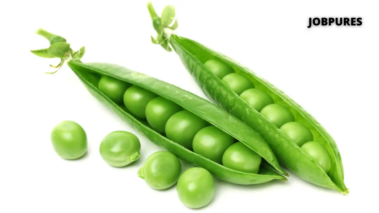 Green Peas Vegetable Name in Hindi and English