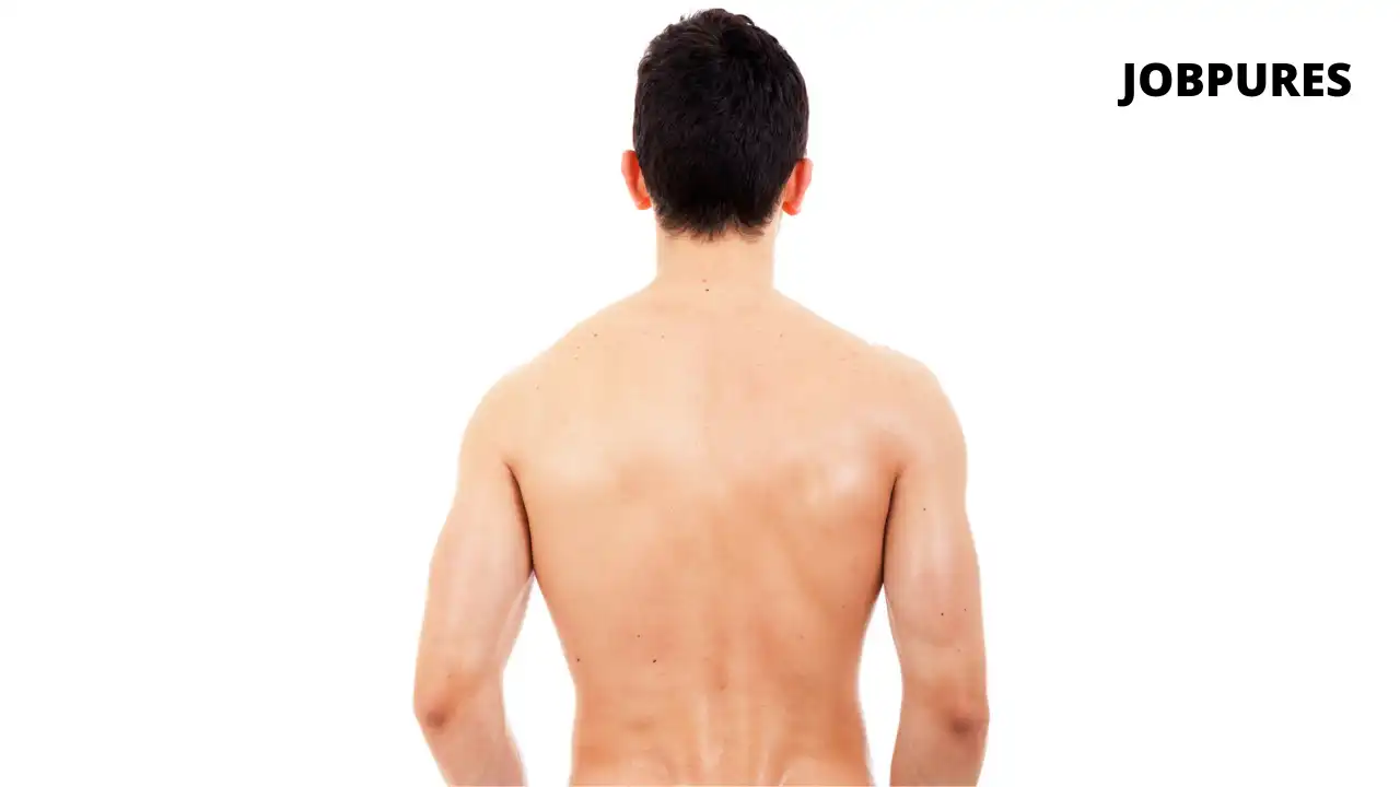 Human Back Body Part Name in Hindi and English