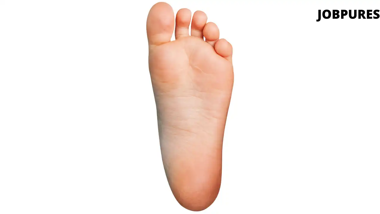 Human Sole Body Part Name in Hindi and English