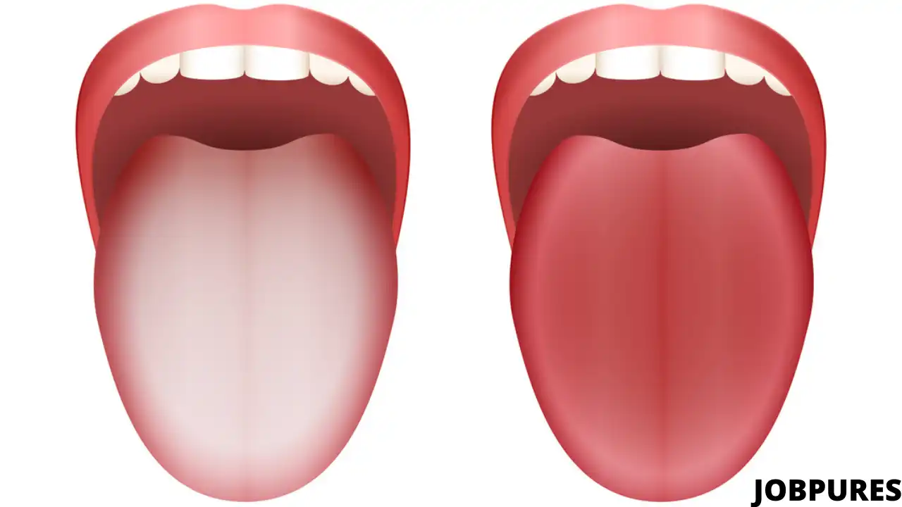 Human Tongue Body Part Name in Hindi and English