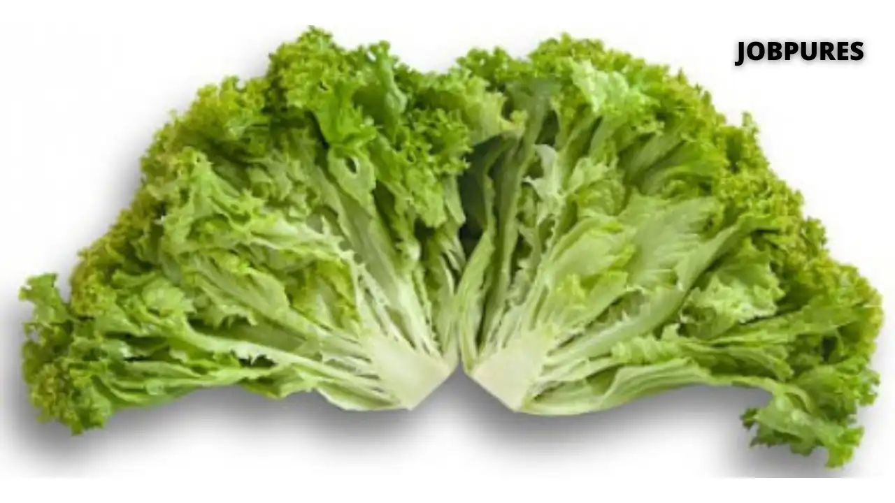 Locarno Leaf Vegetable Name in Hindi and English