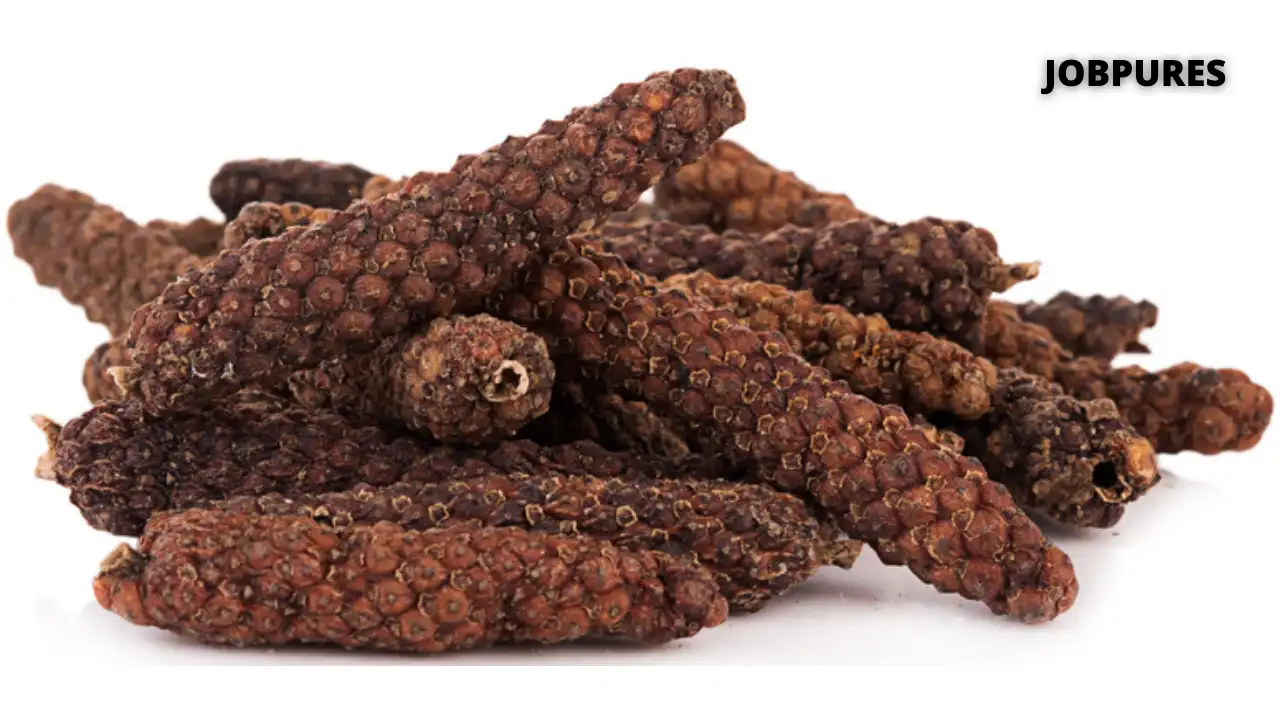 Long Pepper Spice Name in Hindi and English
