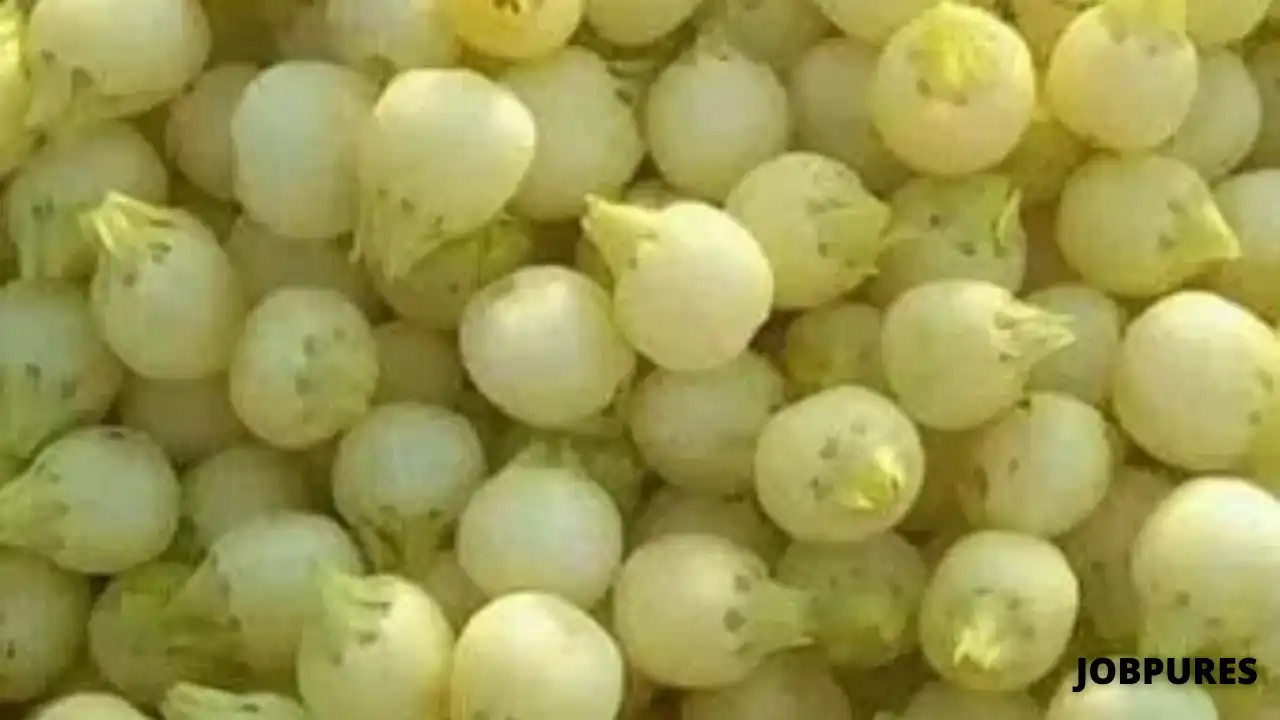 Mahua Vegetable Name in Hindi and English