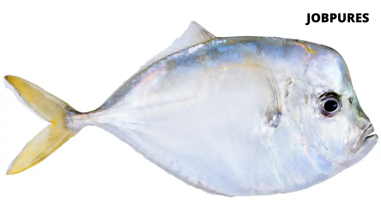 Moonfish Fish Name in Hindi and English