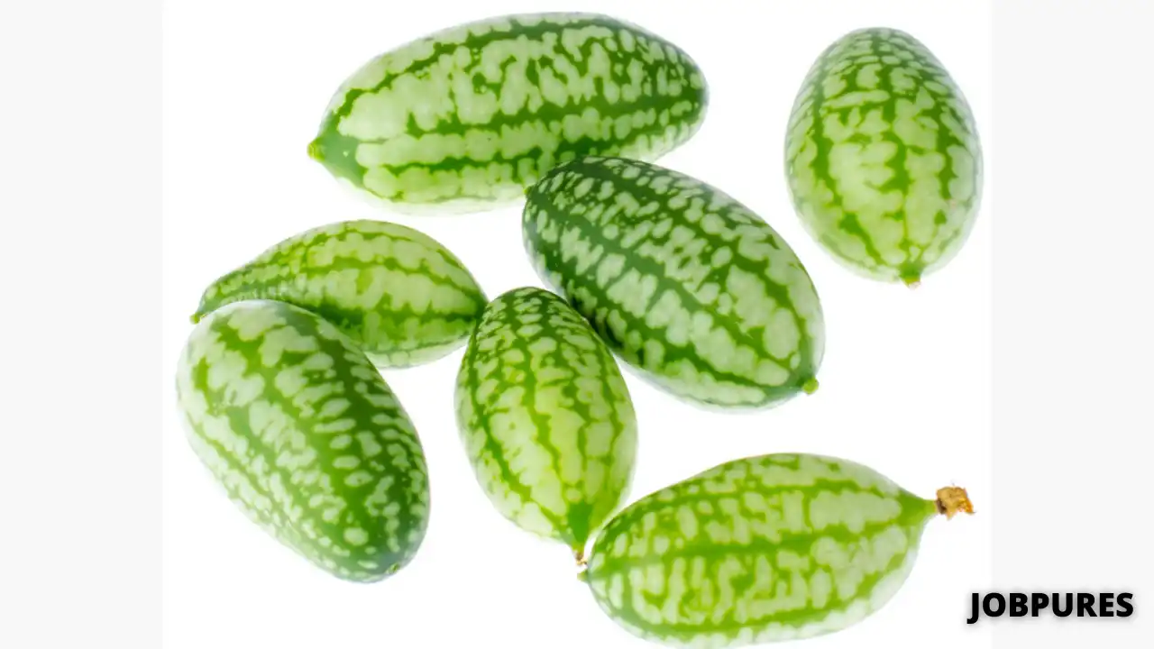 Mouse Melon/Melothria Scabra Vegetable Name in Hindi and English