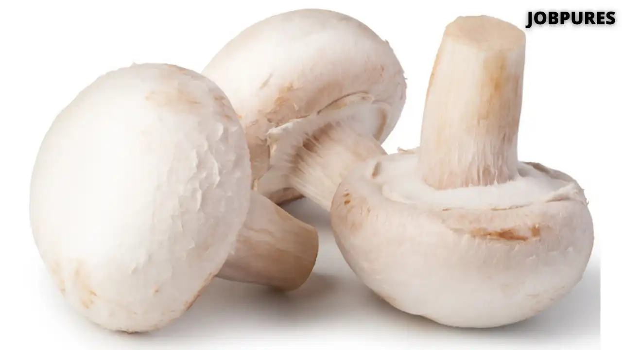 Mushroom Vegetable Name in Hindi and English