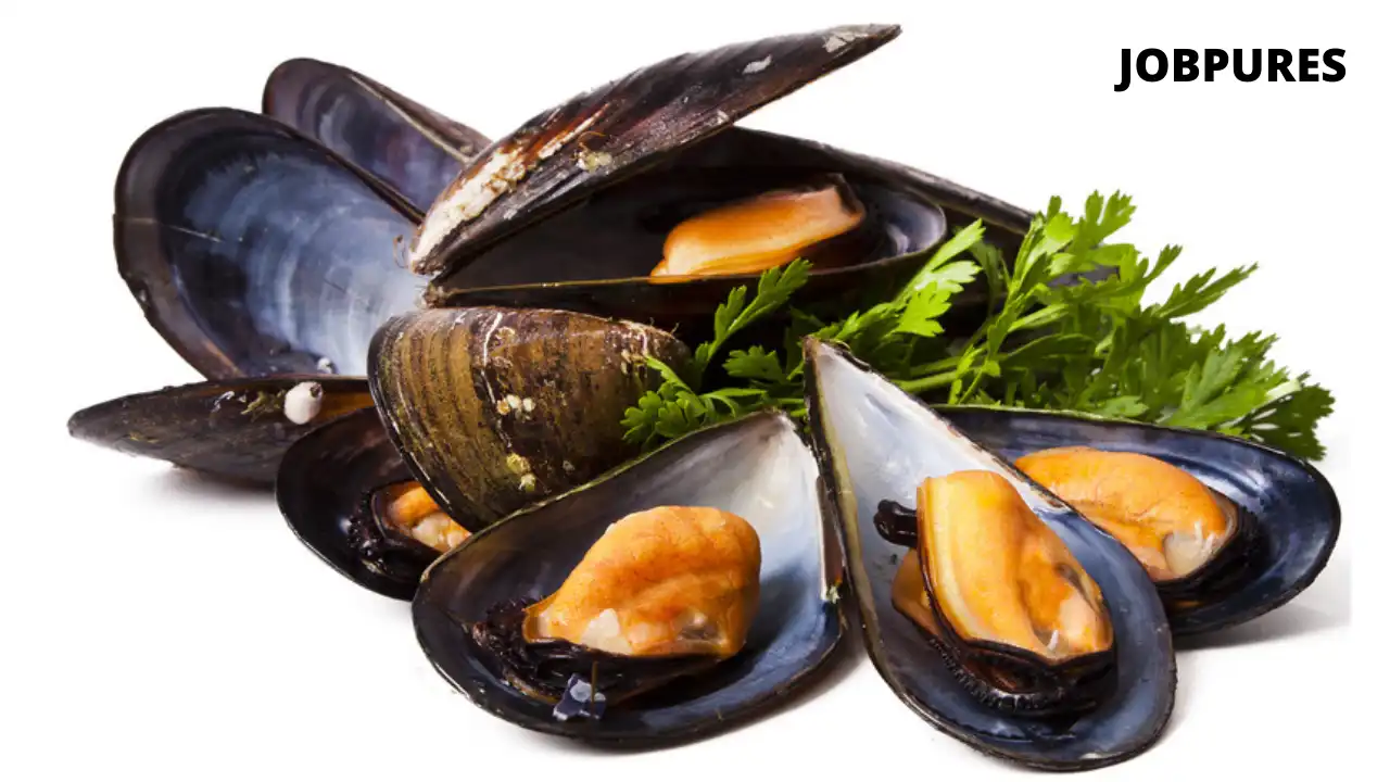 Mussels Fish Name in Hindi and English