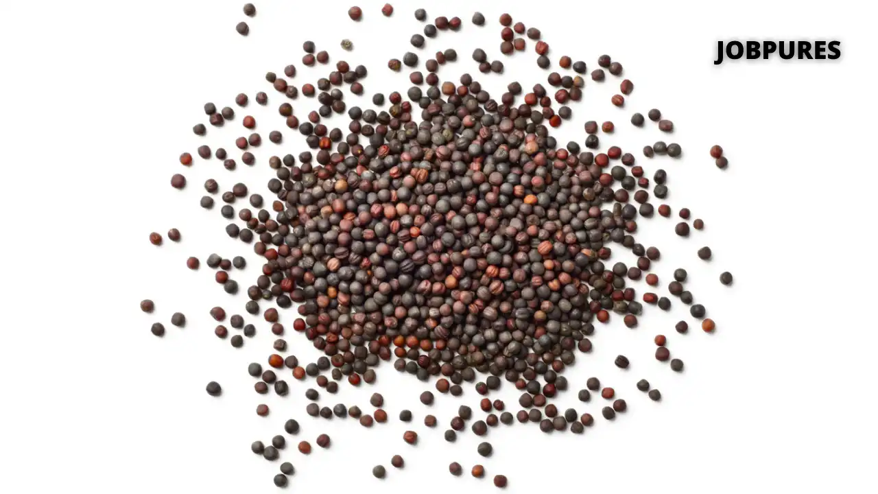 Mustard Seeds Spice Name in Hindi and English