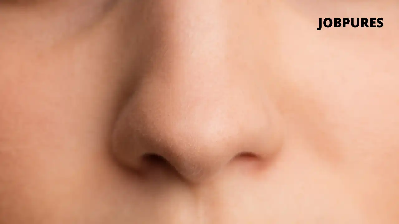 Nose Human Body Part Name in Hindi and English